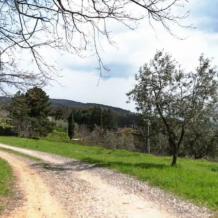Pietrapiana Terrace